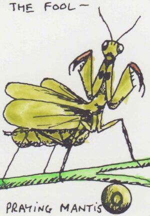 Tiny (bug!) Tarot, The